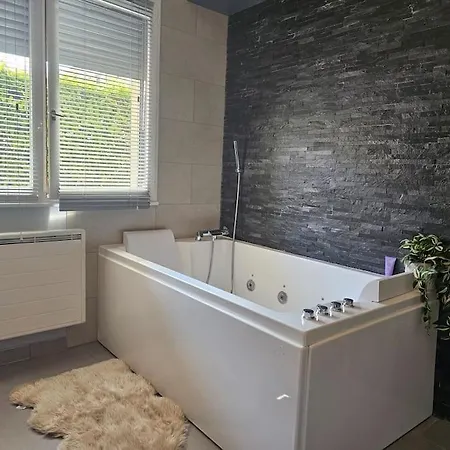 Jaccuzzi Et Ambiance Apartment